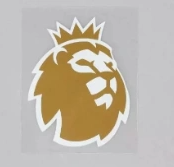 Premier League Winner